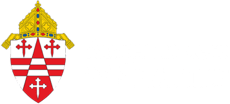 the Archdiocese of Seattle